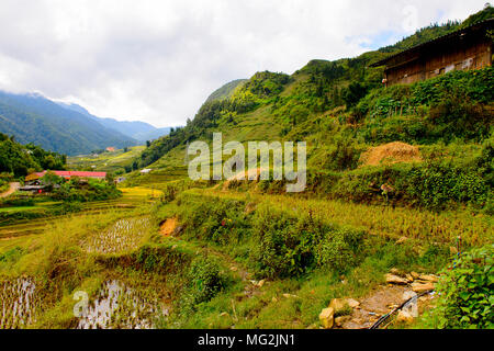 Les montagnes avec des plantes vertes et des terrasses de riz au Vietnam avec ciel nuageux, fin de la saison des pluies Banque D'Images