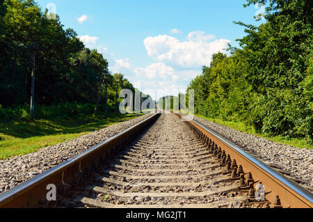 Le chemin de fer va à horizon, des deux côtés de la forêt dense. Banque D'Images