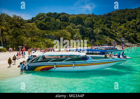 PHUKET, Thaïlande - Jan 25, 2016 : bateau de vitesse avec quatre moteurs plein de touristes à l'île de Koh Miang beach le Jan 25, 2016, Thaïlande. Banque D'Images