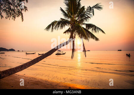 Palm et bateaux sur le quai pendant beau coucher du soleil à Phuket, Thaïlande. Banque D'Images