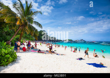 PHUKET, THAILND- Jan 25, 2016 : Tropical Beach at Similan le Jan 25, 2016 dans la mer d'Andaman, en Thaïlande. Banque D'Images