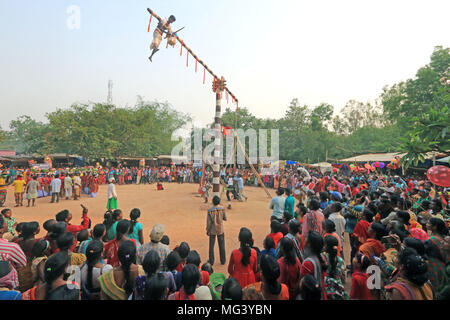 Charak Puja, au Bangladesh. 26 avril 2018. Les populations tribales et regarder l'acrobatie miraculeux effectué par un dévot pendant le 'festival Gae' ou 'Santali Parab Pata'. La partie importante de Bédeille festival est Charak Puja. La tradition de Charak Puja est tout au sujet de l'adoration de l'arbre et Charak plusieurs pénitence actes accomplis par Charak Sanyasis autour et sur l'arbre. Le GAE tree est un tronc d'un arbre sans racines ou branches. La hauteur est de 30 à 40 pieds. Le plus étonnant, c'est comment sanyasi Crédit : PACIFIC PRESS/Alamy Live News Banque D'Images