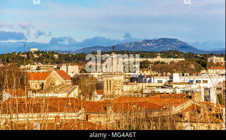 Avis de Montpellier - France, Languedoc-Roussillon Banque D'Images