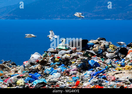 Site d'élimination des déchets avec récupération des mouettes pour l'alimentation Banque D'Images