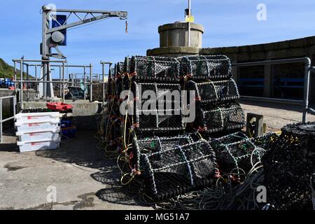 Cages à homard empilés dans le port de Newquay Banque D'Images