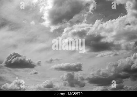 Belles image noir et blanc d'été ensoleillé cloudscape. Photographie horizontale. Banque D'Images