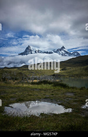 Les montagnes de Torres del Paine au milieu des nuages. Plan d'eau et de prairies de marais dans l'avant-garde. Panorama. Banque D'Images