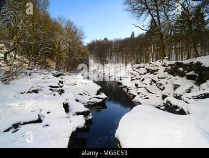 River wharfe circulant dans la srcfa wharfedale Yorkshire Dales Banque D'Images