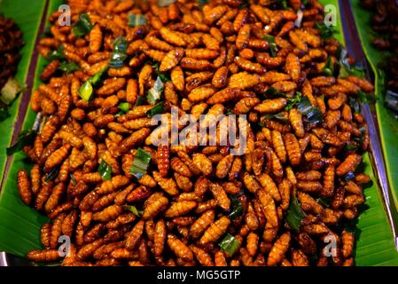 Fried Pupae du ver à soie, un célèbre Thai Street Food recette. Banque D'Images