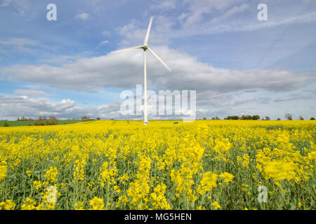 Une éolienne sur la photo dans les champs de colza jaune dans les champs à proximité de Newark, Lincolnshire, Royaume-Uni Banque D'Images