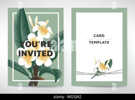 Modèle de carte de voeux et d'invitation, de conception avec des feuilles fleurs de frangipanier blanc sur fond vert, bio/nature theme Illustration de Vecteur