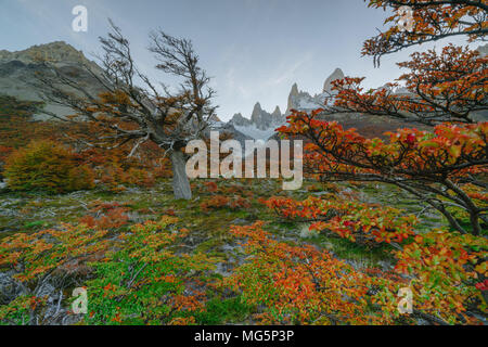 Vue sur le Mont Fitz Roy dans le Parc National Los Glaciares National Park au coucher du soleil. L'automne en Patagonie, du côté argentin Banque D'Images