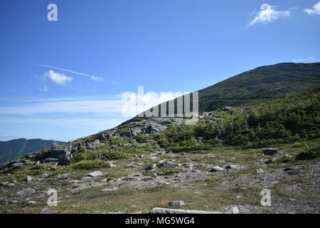 Coulisses le long de la route Auto Mont Washington dans le New Hampshire (États-Unis) Banque D'Images