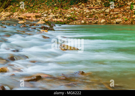Flou de mouvement rapides de Hosta rivière avec des rochers humides et la terre jonchée de feuilles sèches Banque D'Images
