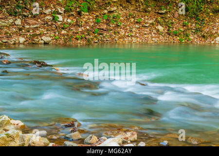 Flou de mouvement rapides de Hosta rivière avec des rochers humides et la terre jonchée de feuilles sèches Banque D'Images