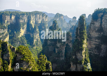 Montagne Alléluia Avatar, Yuanjiajie, Zhangjiajie Banque D'Images