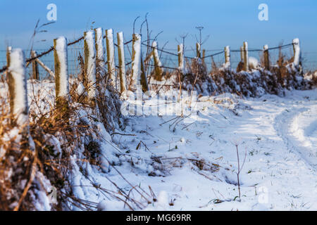 Une clôture en fil barbelé dans la neige à l'aide d'une très faible profondeur de champ. Banque D'Images