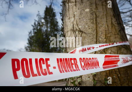 Ruban Cordon intérieur Police enroulé autour d'un arbre Banque D'Images