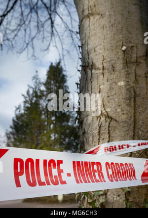 Ruban Cordon intérieur Police enroulé autour d'un arbre Banque D'Images