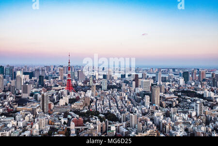 La ville de Tokyo Tokyo Skyline y compris la Tour de Tokyo Banque D'Images