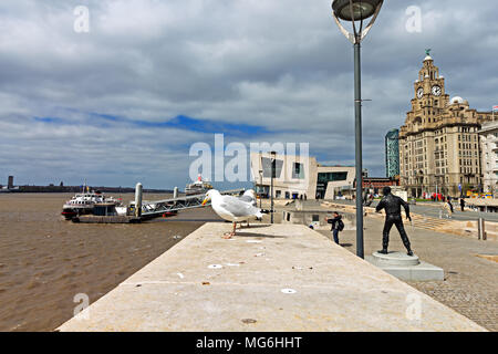 Le Mersey Ferry 'Royal' Iris quitter l'embarcadère au Pier Head Liverpool UK. Banque D'Images