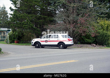 Shelton, Washington, USA, 27 avril 2018. Mason Comté Sheriff répondre à la scène où un homme a poignardé un processus serveur. Cette photo a été prise après que l'homme a été arrêté et emmené à l'hôpital avec une morsure de chien. Il semble que la police a enfoncé la remorque avec leur véhicule SWAT. Hidden Haven Mobile Home Park scène de stand off aujourd'hui à Mason Comté. (Shawna Whelan) Credit : Shawna Whelan/Alamy Live News Banque D'Images