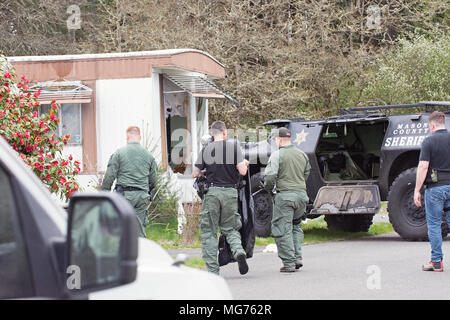 Shelton, Washington, USA, 27 avril 2018. Mason Comté Sheriff répondre à la scène où un homme a poignardé un processus serveur. Cette photo a été prise après que l'homme a été arrêté et emmené à l'hôpital avec une morsure de chien. Il semble que la police a enfoncé la remorque avec leur véhicule SWAT. Hidden Haven Mobile Home Park scène de stand off aujourd'hui à Mason Comté. (Shawna Whelan) Credit : Shawna Whelan/Alamy Live News Banque D'Images