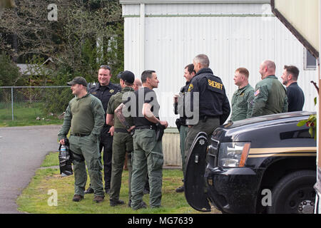 Shelton, Washington, USA, 27 avril 2018. Mason Comté Sheriff répondre à la scène où un homme a poignardé un processus serveur. Cette photo a été prise après que l'homme a été arrêté et emmené à l'hôpital avec une morsure de chien. Il semble que la police a enfoncé la remorque avec leur véhicule SWAT. Hidden Haven Mobile Home Park scène de stand off aujourd'hui à Mason Comté. (Shawna Whelan) Credit : Shawna Whelan/Alamy Live News Banque D'Images