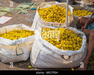 Les fleurs de souci pour la vente au marché aux fleurs de Madurai dans l'Etat du Tamil Nadu, Inde Banque D'Images