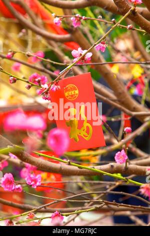 Cerisiers avec Lai Voir Enveloppes rouges pour le Nouvel An chinois, Hong Kong, Chine, Asie du Sud Est Banque D'Images