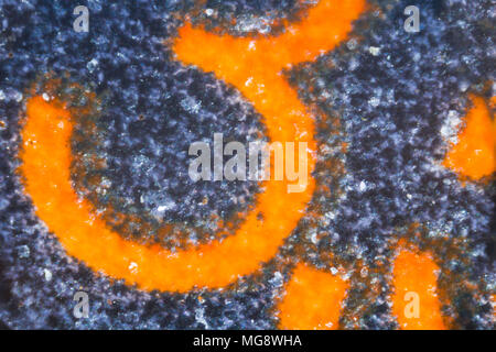 3 chiffres intégrés sur la carte sim sous le microscope. Closeup macro photographie. Banque D'Images