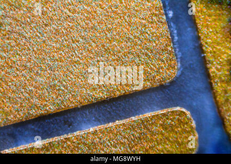 Puce NFC sous le microscope. Closeup macro photographie. Banque D'Images