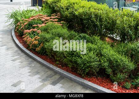 Parterres de fleurs dans un parc avec des arbustes et conifères Banque D'Images