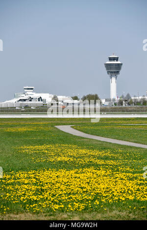 Fleur, vert, nature, avion, avion, avion, Vue, Vue, Panorama, fleur, herbe, weed, démarrer, prendre de l'aéroport, Déploiement, Munich, Allemagne, Banque D'Images