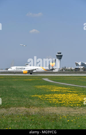 Condor, A320, A 320, avion, avion, avion, Vue, Vue, Panorama, fleur, herbe, weed, démarrer, prendre de l'aéroport, Déploiement, Munich, MUC, Allemagne, Banque D'Images