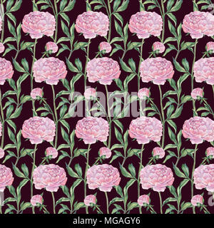 Les Pivoines, modèle homogène. Illustration botanique aquarelle peinte à la main Banque D'Images
