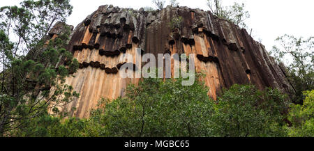 Vue de la falaise haute de 40 mètres et ses colonnes de lave basaltique de modèle hexagonal, à Swan Rocks, à Narrabri, Nouvelle Galles du Sud. Banque D'Images