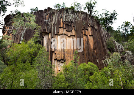 Vue de la falaise haute de 40 mètres et ses colonnes de lave basaltique de modèle hexagonal, à Swan Rocks, à Narrabri, Nouvelle Galles du Sud. Banque D'Images