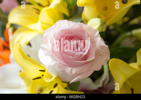 Le bouquet de fleurs fraîches avec différents types de roses et de lys Banque D'Images