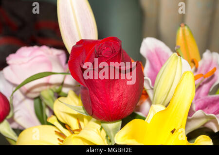 Le bouquet de fleurs fraîches avec différents types de roses et de lys Banque D'Images