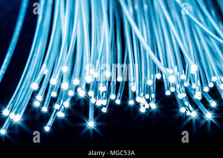 Faisceau de fibres optiques avec des lumières dans les extrémités. Fond bleu. Banque D'Images