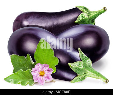 Aubergines ou aubergines aubergine avec fleur et feuilles sur fond blanc. Banque D'Images