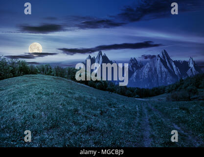 Paysage d'été composite. Chemin à travers la forêt on grassy hillside en Hautes Tatras. beau temps estival avec ciel bleu et quelques nuages de nuit Banque D'Images