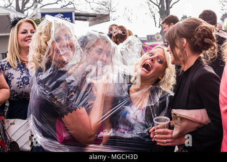 Groupe d'amies à l'abri de la pluie, sous un imperméable poncho transparent au Grand National, Aintree, Liverpool, Angleterre, le 9 avril, 2016 Banque D'Images