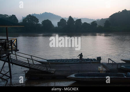 Tôt le matin sur la rivière Kinabatangan, Sabah, Bornéo Malaisien Banque D'Images