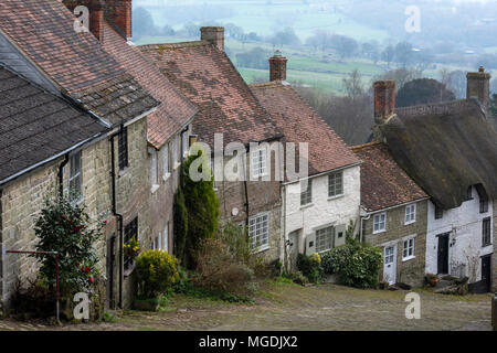 La belle campagne du Dorset et de chaume typiquement anglais à gold hill cottages à Shaftesbury. Paysage et campagne anglaise maisons et ruelles pavées Banque D'Images
