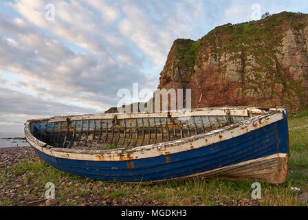 Un vieux bateau de pêche écossais en bois, depuis longtemps abandonnées, se trouve sur la plage de galets par le village de pêcheurs d'Auchmithie à Angus (Écosse). Banque D'Images