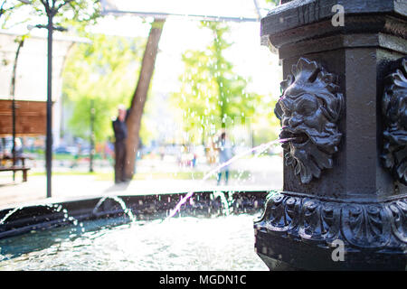 Lion fontaine dans un parc. L'été Banque D'Images