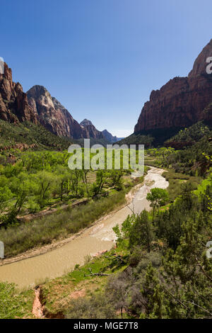 La rivière vierge comme il coule à travers le parc national de Zion, Utah, USA Banque D'Images