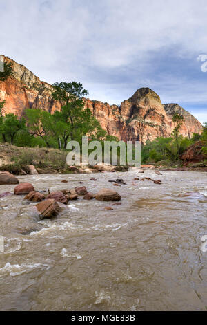 La rivière vierge comme il coule à travers le parc national de Zion, Utah, USA Banque D'Images